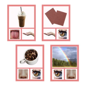 reconoce mis sentidos