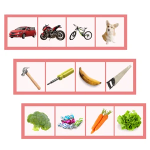 ¿cuÁl no corresponde?