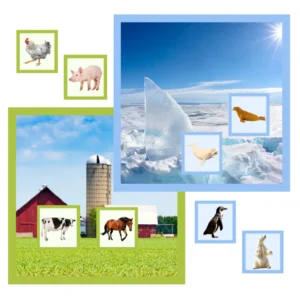 animales y su hÁbitat