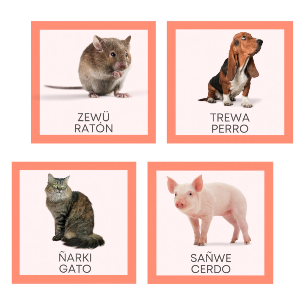 extra soft touch lamb doll