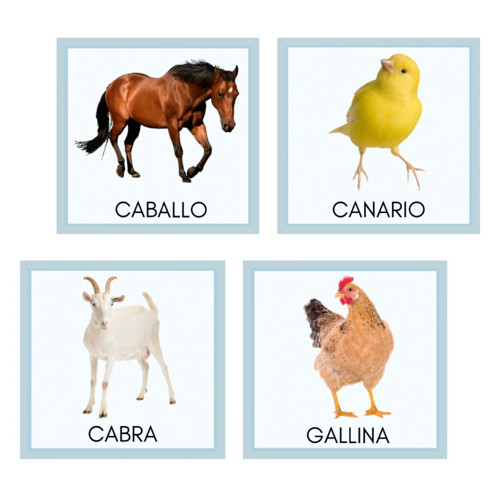 tarjetas de animales